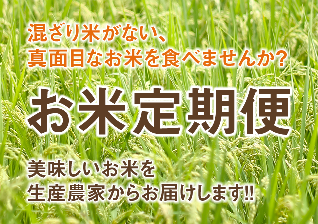 お米定期便